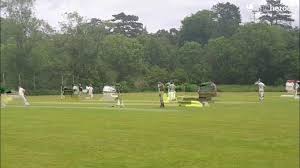 Image result for Checkendon Cricket Club