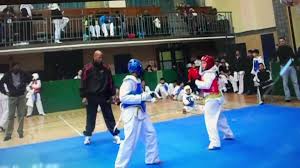 Image result for Dujon Tae Kwon Do