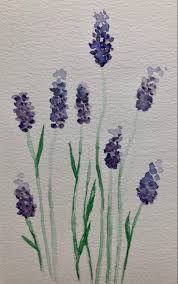 Image result for Lavendel