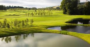 Image result for Carlow Golf Club