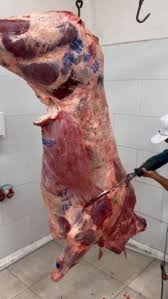 Image result for media res