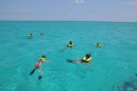 Image result for East Snorkellers