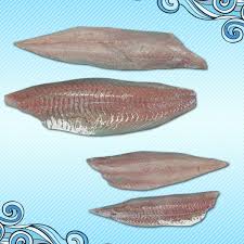 Image result for Pollachius virens