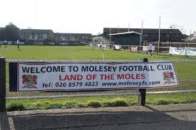 Image result for Molesey Juniors Football Club
