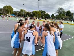 Image result for Civil Service (Ipswich) Netball Club