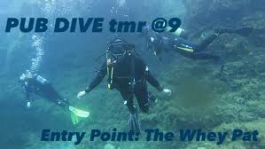 Image result for Meadurst Sub-Aqua Club