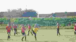 Image result for Hambro Colts Y F C