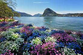 Image result for "Parco Ciani"