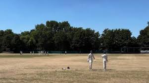 Image result for Shepherdswell Cricket Club