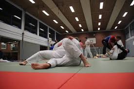 Image result for Jsc Judo Club