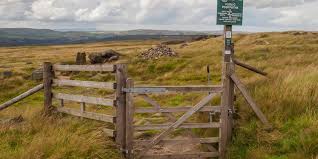 Image result for Tameside Area