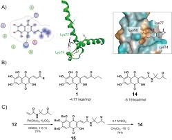 Attēlu rezultāti vaicājumam “Lindbladia tubulina”