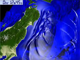 Image result for 耐震 大津波無力