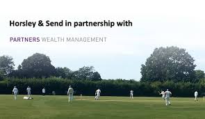 Image result for Horsley & Send Cricket Club