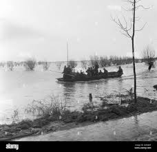 Image result for zeeland 1953