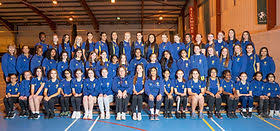 Image result for Cobham Netball Club