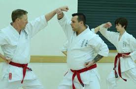 Image result for Norfolk Karate