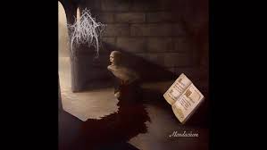 Attēlu rezultāti vaicājumam “Diderma montanum var. album stalked”