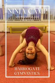Image result for Harrogate School Of Gymnastics
