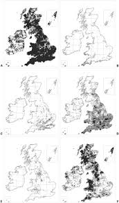 Attēlu rezultāti vaicājumam “Pseudobryum cinclidioides cells”