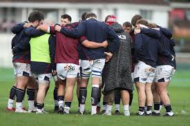 Image result for Swansea Rfc
