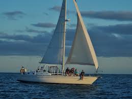 Image result for innerspace divers