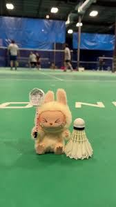 Image result for X P G Badminton Club