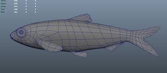 Image result for Alosa alabamae