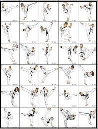 Image result for Combined self defence arts