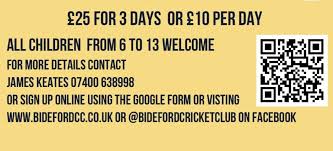 Image result for Bideford/Littleham/Westward Ho Cricket Club