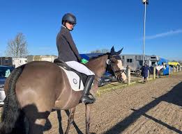 Image result for Chiddingfold Branch Of The Pony Club