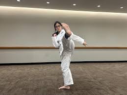 Image result for York University Taekwondo Club
