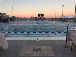 Image result for Derby Phoenix Swimming Club