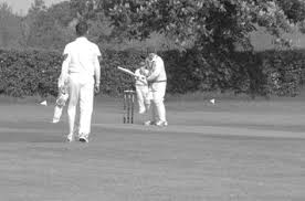 Image result for Odiham & Greywell Cricket Club