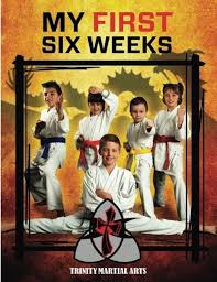 Image result for TRINITY KARATE ACADEMY