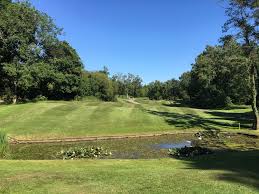 Image result for Alfreton Golf Club