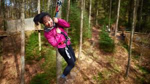 Image result for Go Ape! Dalby