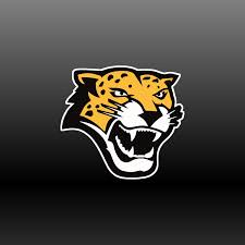 Image result for Cass Sports Northstars