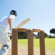 Image result for Swindon Cricket Club