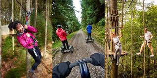 Image result for Go Ape! Grizedale