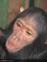 jane-a-new-baby-at-jack.jpg
