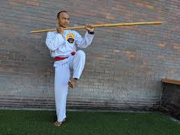 Image result for Silat Pd (Perisai Diri) UK