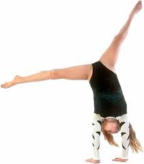 Image result for Maple Gymnastics Club