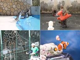 「山田桐生」の画像検索結果