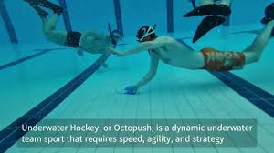 Image result for York Octopush Club