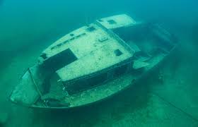 Image result for Apneists UK