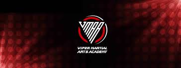 Image result for Vipers Thai/Kickboxing School
