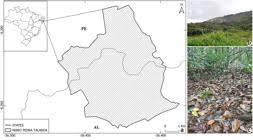 Attēlu rezultāti vaicājumam “Stemonitopsis subcaespitosa spores”