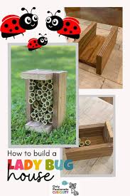Image result for ladybug house
