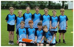 Image result for Christleton Cricket Club